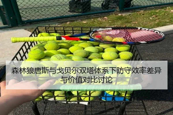 森林狼唐斯与戈贝尔双塔体系下防守效率差异与价值对比讨论